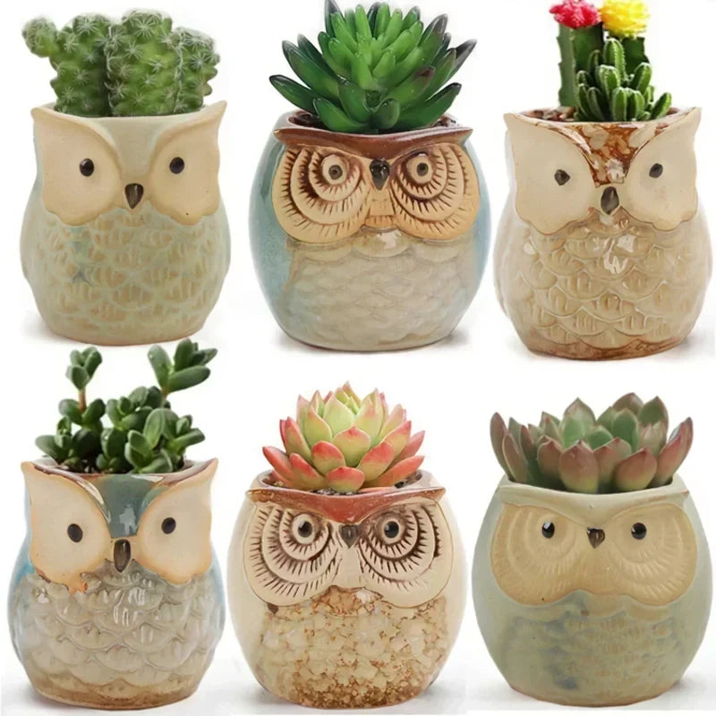 Happy Growers | Mini Owl Ceramic Plant Planter