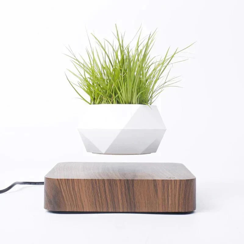 Happy Growers | Anti-gravity plants - Astonish your space - Nature reinvented