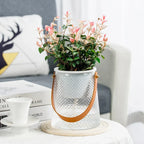 Happy Growers | Self-Watering Indoor Succulent Hydroponic Planter with Handle