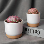 Happy Growers | Double-Layer Self-Watering Succulent Plant Pot for Home Decor