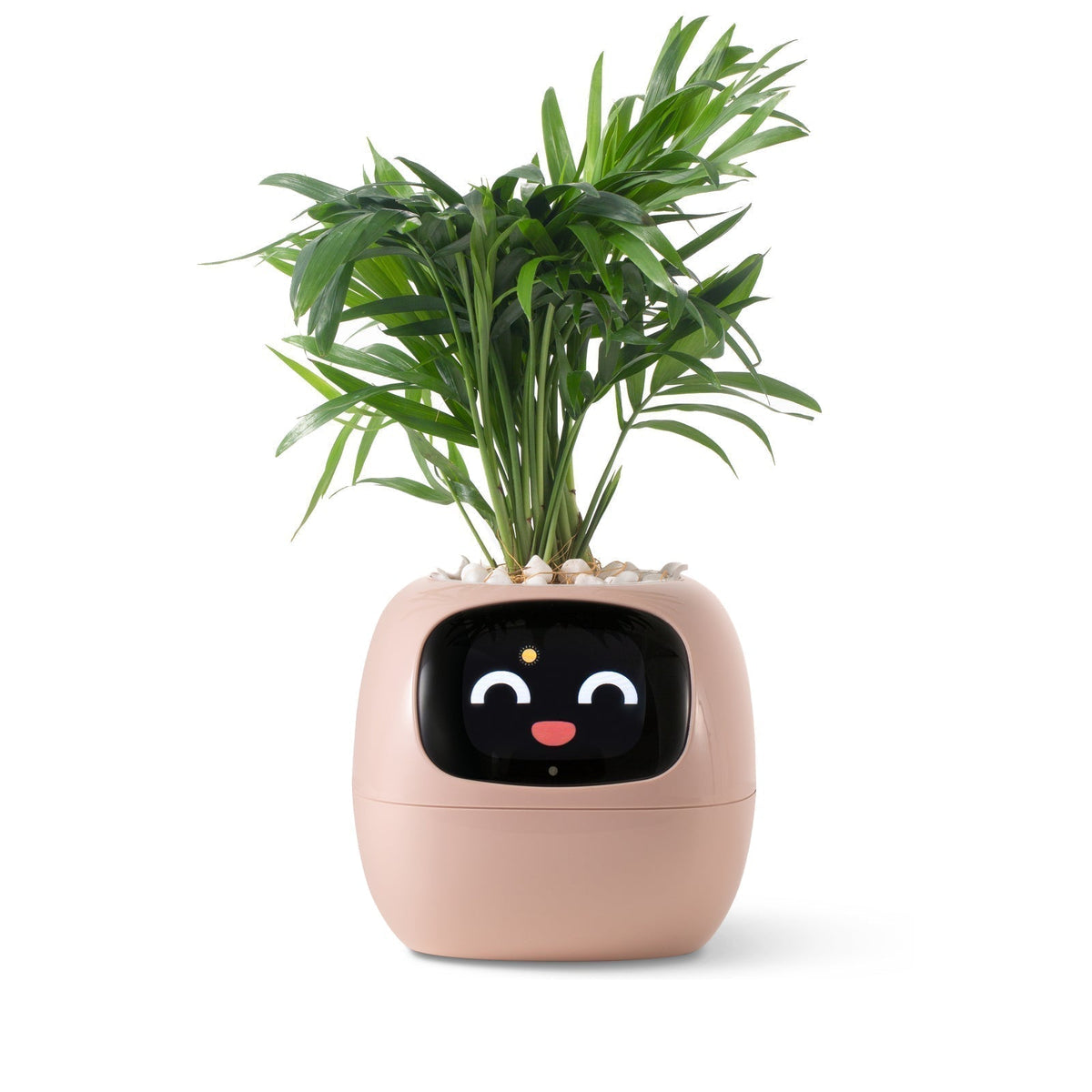 VerdeGlow – Self-Watering Smart Plant Pot  Automatic Irrigation  Modern Indoor Planter