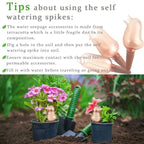 Happy Growers | Birdie Type Automatic Flower Waterer