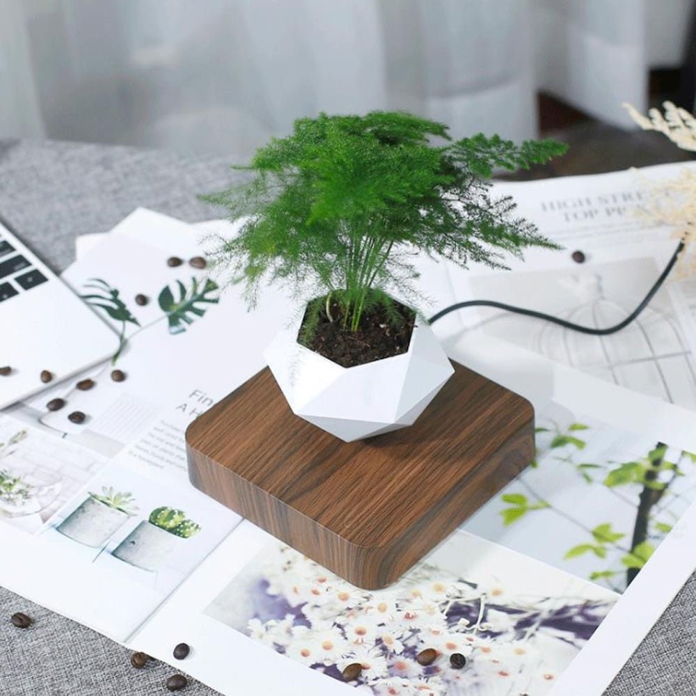 Happy Growers | Float Magic Flower Pot