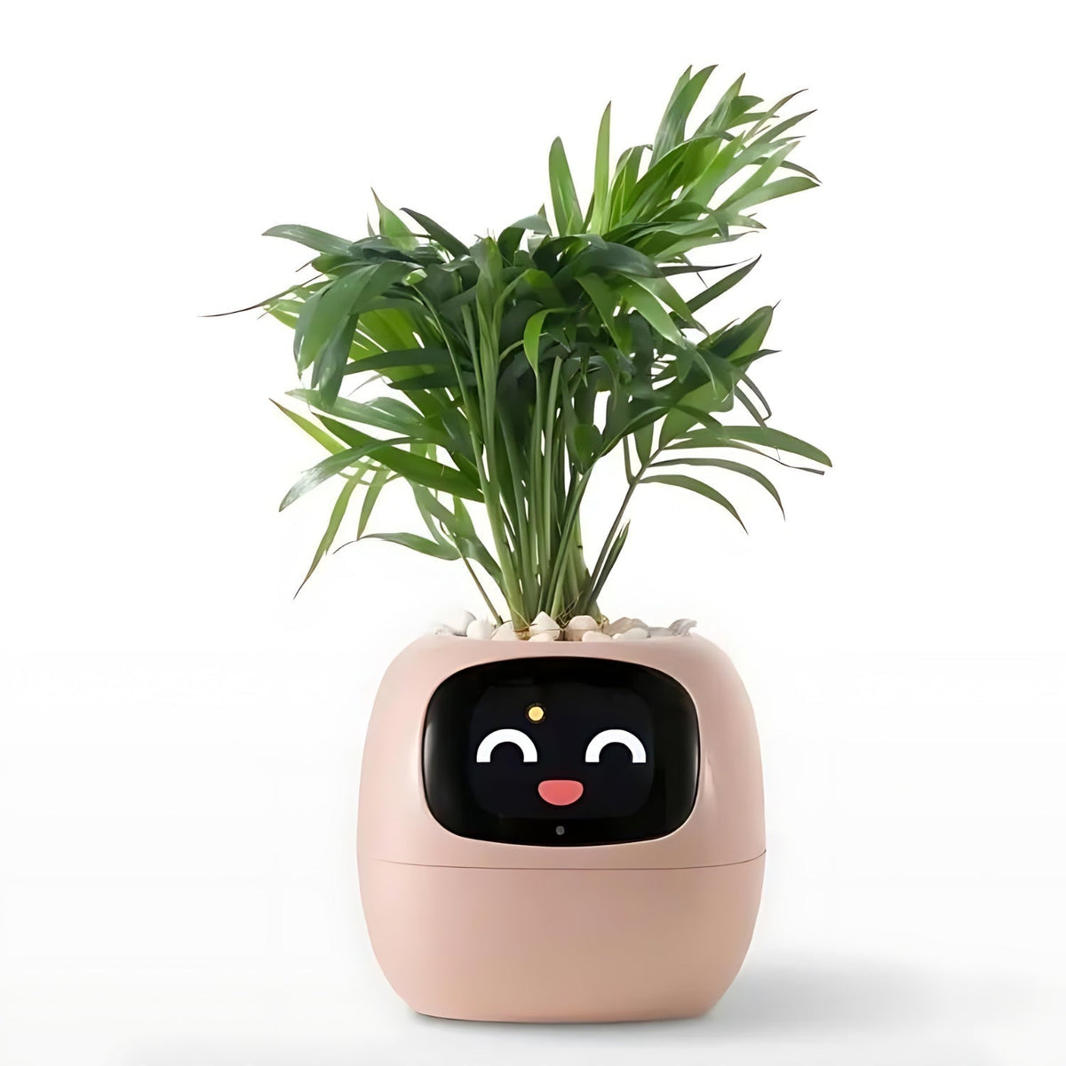 Happy Growers | GreenBuddy SmartPot - Automatic Smart Planter