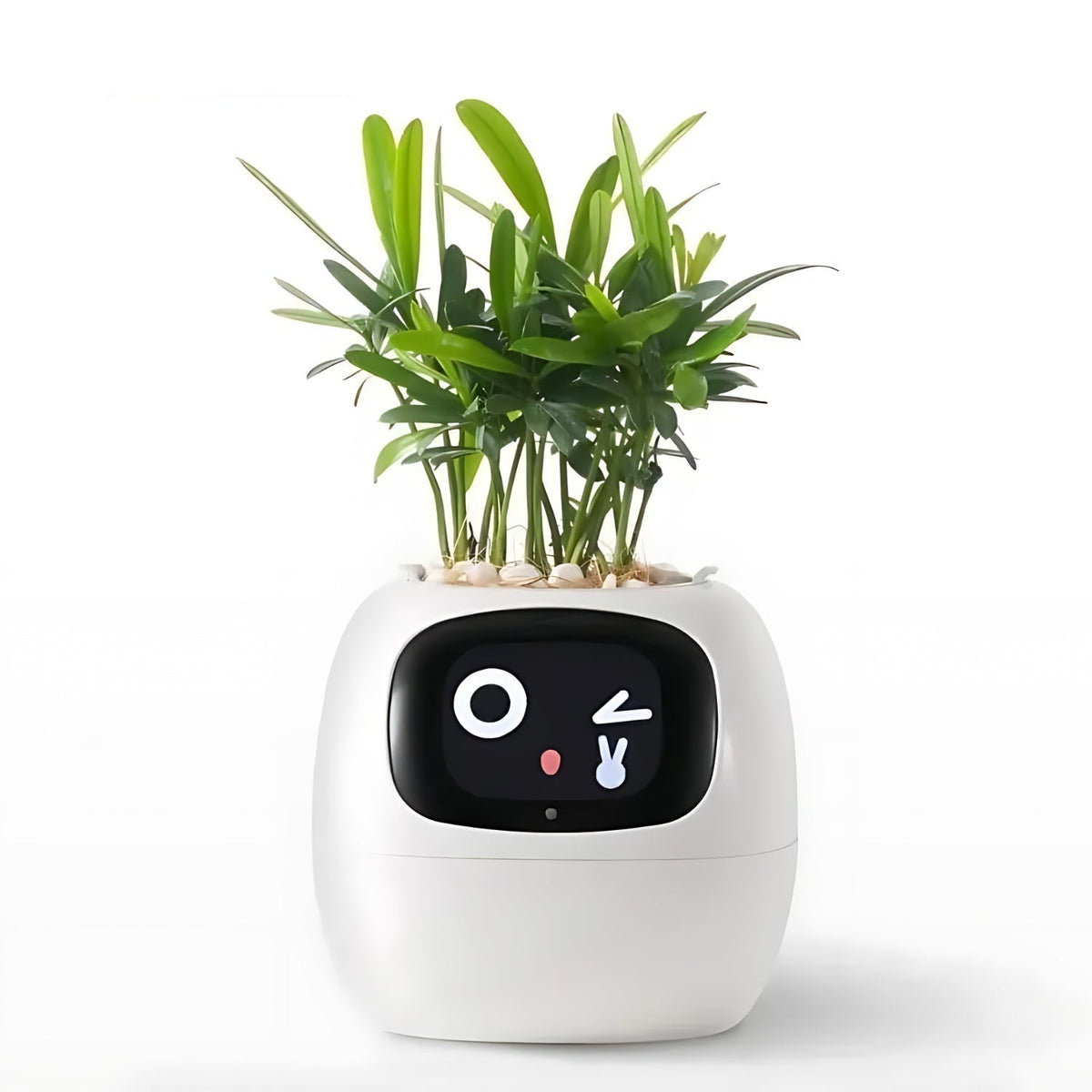 Happy Growers | GreenBuddy SmartPot - Automatic Smart Planter