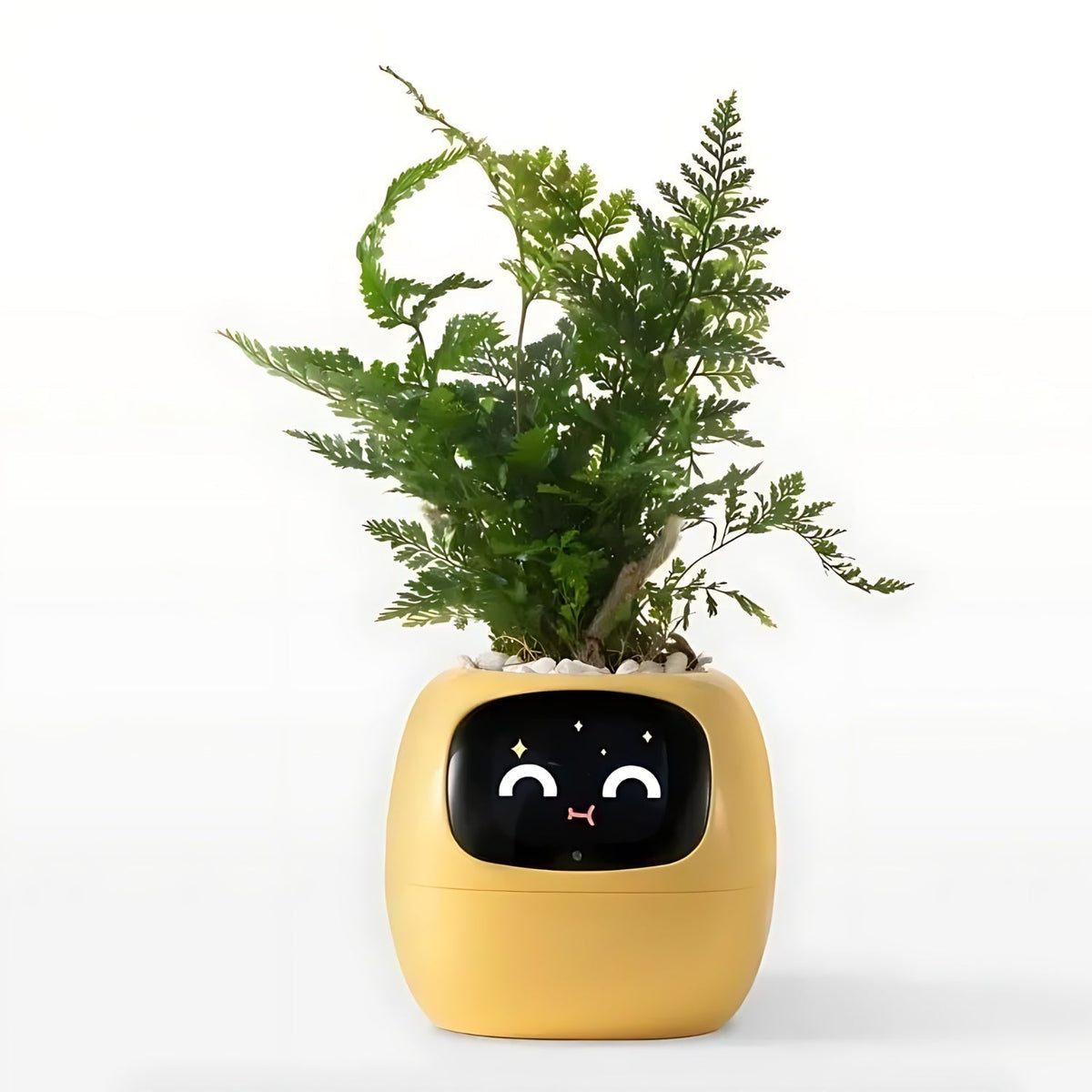 Happy Growers | GreenBuddy SmartPot - Automatic Smart Planter