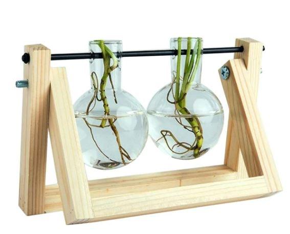 Happy Growers | Fauna Plants Cuttings Pots | Grow your own plants at home