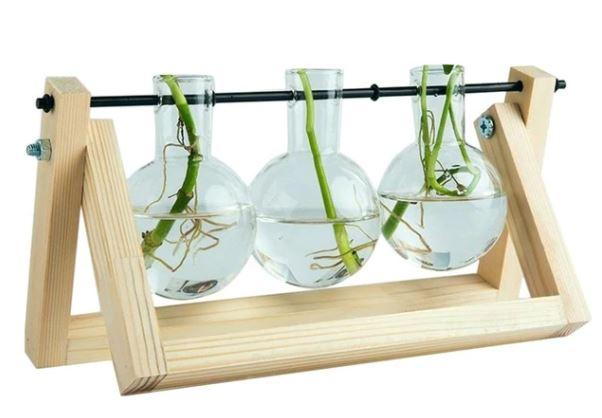 Happy Growers | Fauna Plants Cuttings Pots | Grow your own plants at home