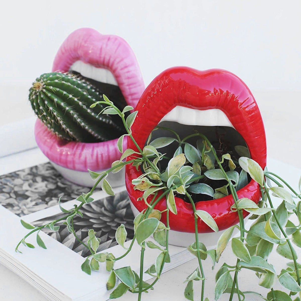 Happy Growers | Lips Flower Pot
