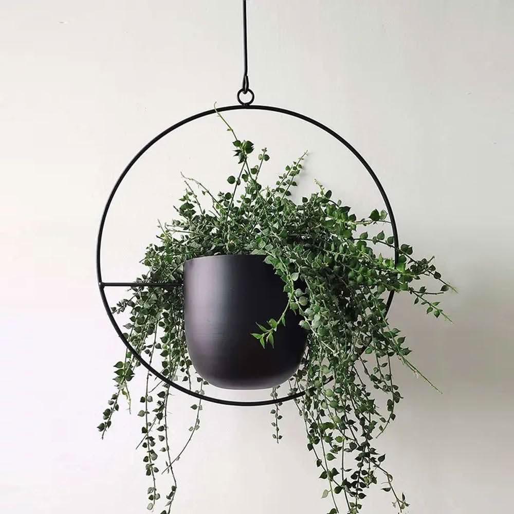 Happy Growers | Wall Hanging Metal Plant Holder – FloraFrame
