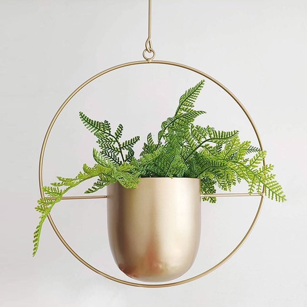 Happy Growers | Wall Hanging Metal Plant Holder – FloraFrame
