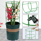 House Growers | Removable plant support for flowers and fruits