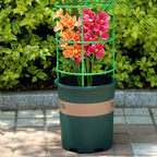 House Growers | Removable plant support for flowers and fruits