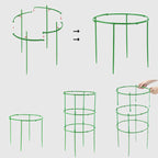 House Growers | Removable plant support for flowers and fruits